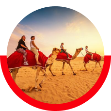 Camel Ride Dubai