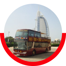 Dubai Desert Safari by Bus (Basic)